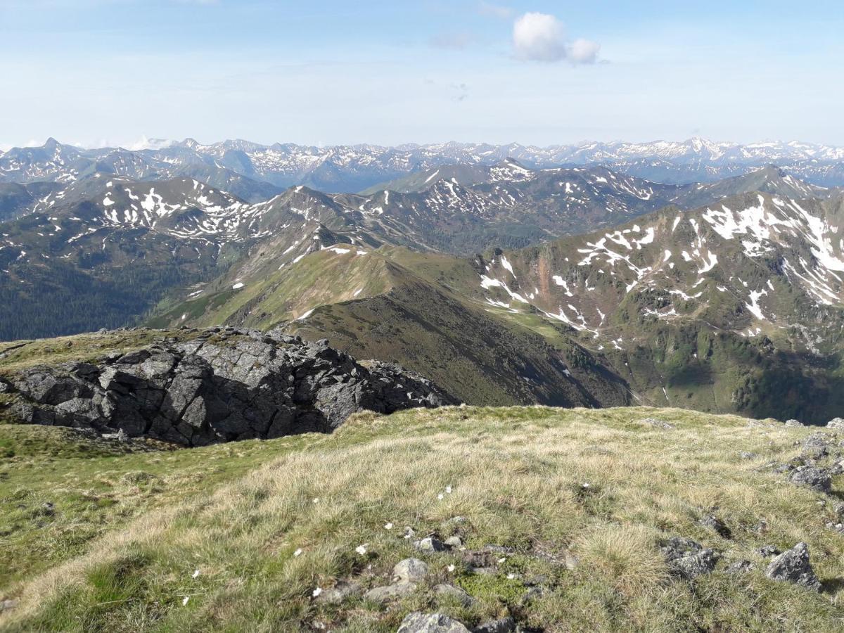 Ferienhaus Berger Aigen im Ennstal Exteriér fotografie